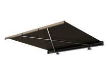 Load image into Gallery viewer, Crosswing