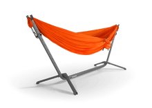 Load image into Gallery viewer, Swiftlet