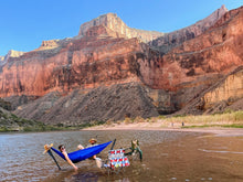 Load image into Gallery viewer, Swiftlet