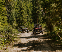 Load image into Gallery viewer, SxS Sidewall Repair Kit