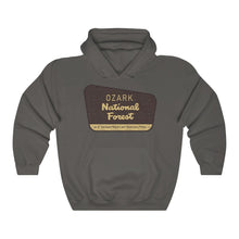 Load image into Gallery viewer, Ozark National Forest Hoodie
