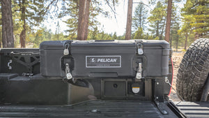 Pelican BX55S Cargo Case